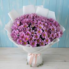 Букет цветов из:  Хризантемы #REPLACE_PRED# Ипатово