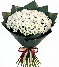 Букет цветов из:  Хризантемы #REPLACE_PRED# Ипатово