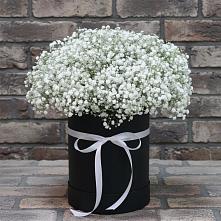 Цветочная композиция из Гипсофила в шляпной коробке в Ипатово