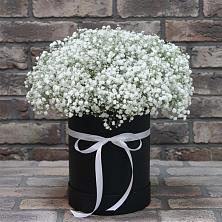 Цветочная композиция из Гипсофила в шляпной коробке в Ипатово